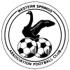 https://img.zhongshengchem.cn/img/football/team/1018e336c3899463ddd28046009e8331.png