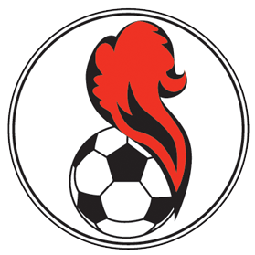 https://img.zhongshengchem.cn/img/football/team/5541e5015258ae82b121480f4164267d.png